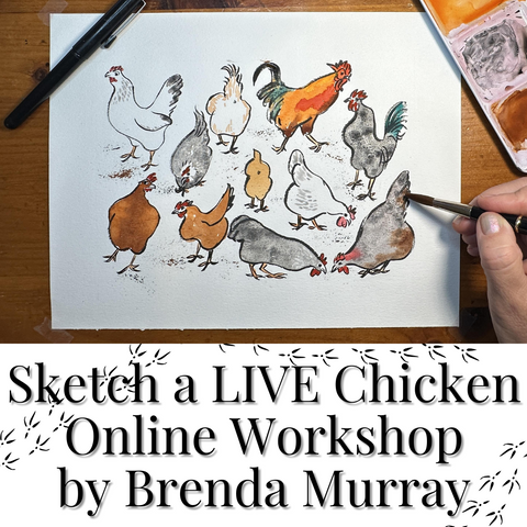 Sketch a LIVE Chicken Online Workshop by Brenda Murray