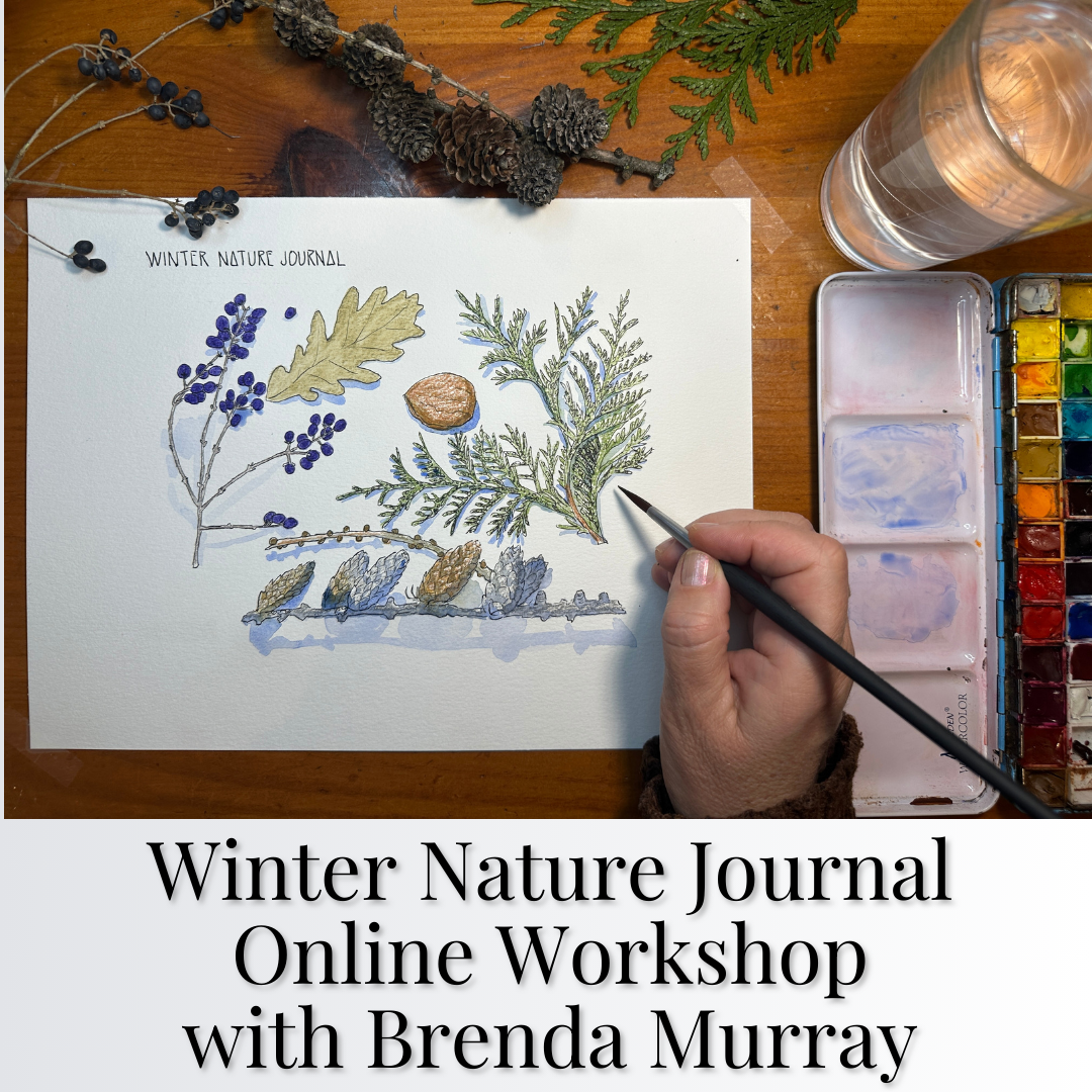 Winter Nature Journal tutorial with Brenda Murray